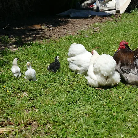 Businesswohnungen Haag Bei A7 Apartamento Aalen